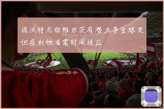 诺沃特尼称维尔茨有潜力争金球奖但在利物浦需时间适应