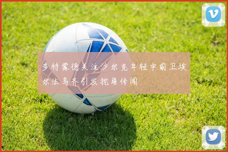 多特蒙德关注沙尔克年轻中前卫埃尔法乌齐引发挖角传闻