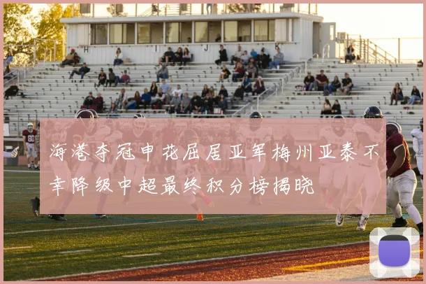 海港夺冠申花屈居亚军梅州亚泰不幸降级中超最终积分榜揭晓