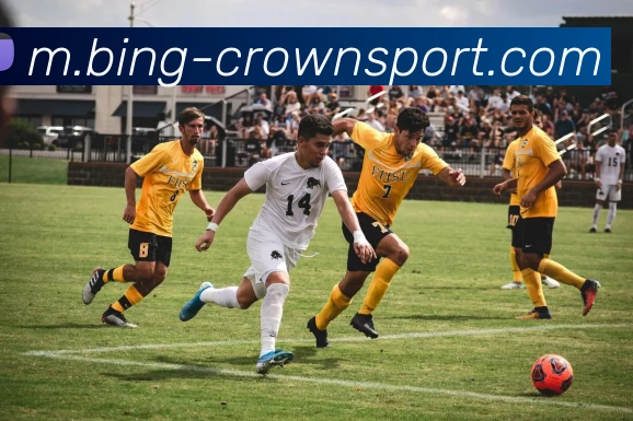 皇冠体育品牌故事